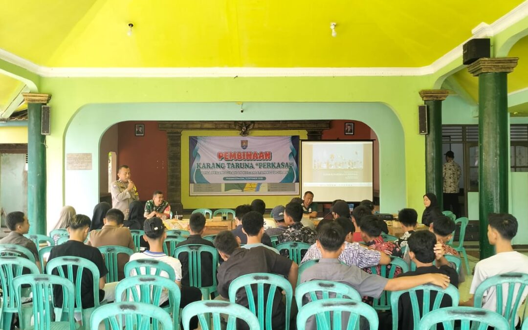 Pembinaan Karang Taruna